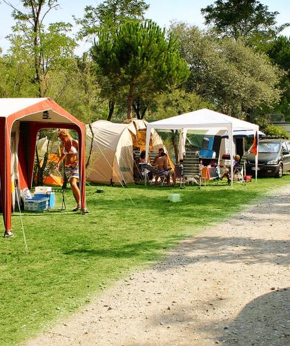 Campeggio estivo con tende e roulotte sotto gli alberi.