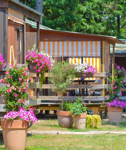 Holzhütten mit bunten Blumen und gestreiften Markisen.