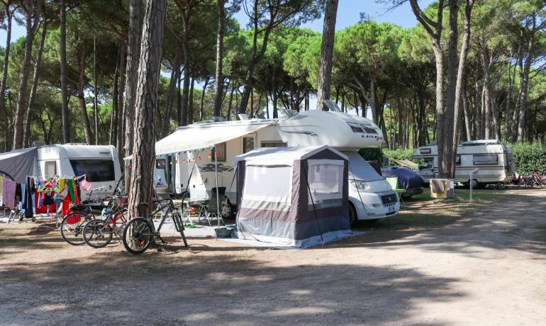 Campeggio tra gli alberi con camper, biciclette e tenda.