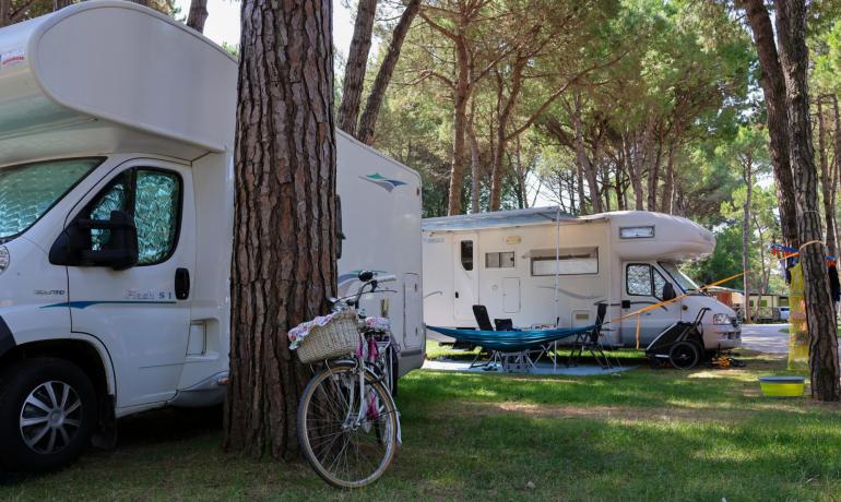 Camper parcheggiati in un'area boschiva con biciclette e sedie all'aperto.