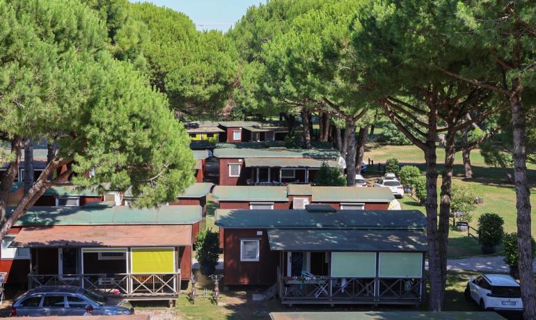 Bungalows blandt træer, med biler parkeret i nærheden.