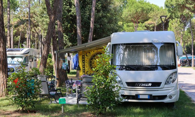 Campere parkeret i en fyrreskov med udendørs afslapningsområde.